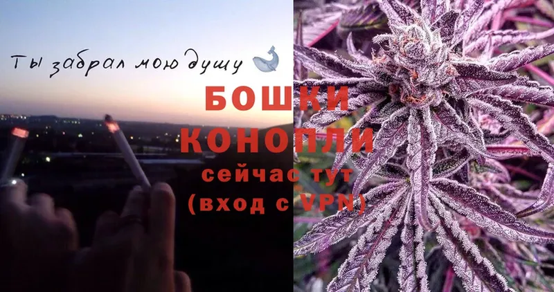 OMG ТОР  Каменка  Бошки марихуана OG Kush 